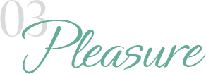 03 Pleasure